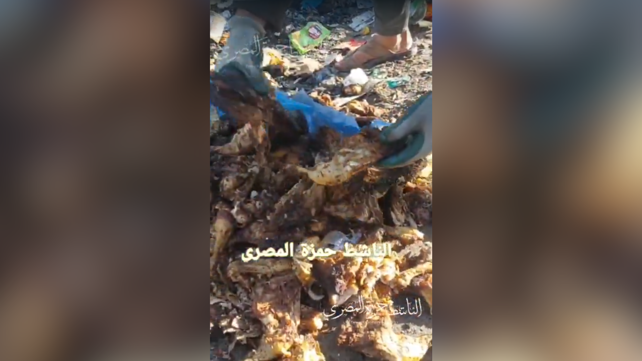 צילום מסך מתוך תיעוד המזון שהושלך ברצועה