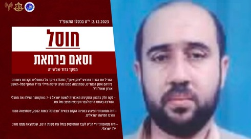 דובר צה"ל: חיסלנו את מפקד גדוד סג'עיה