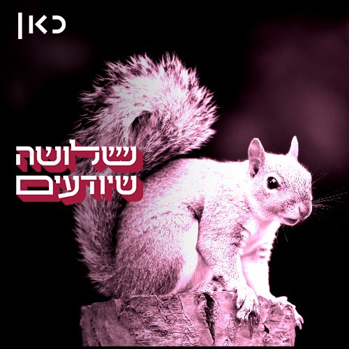 פתאום הכל הפך ורוד
