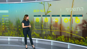 תחזית 15.05.24