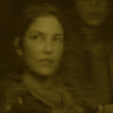 עמית 500