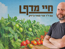 חיי מדף