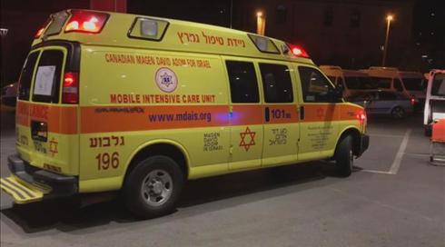 בת 4 במצב קשה לאחר שנעקצה ע"י בעל חיים