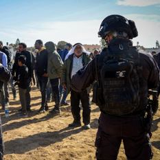 La polémica por la forestación en el Néguev