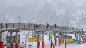 النشرة المسائية