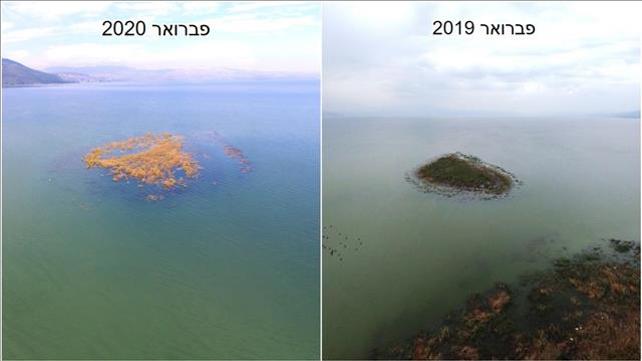 האי בכינרת בפבואר 2019 לעומת פברואר 2020