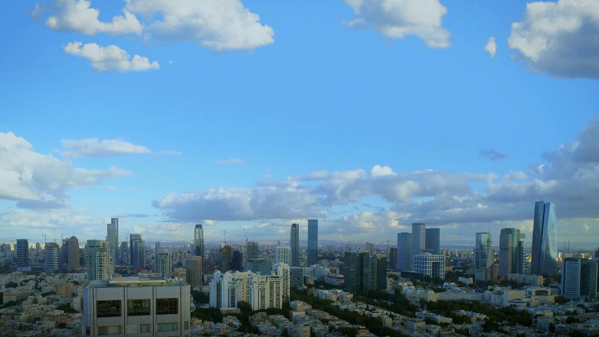 1920X1080 No Logo אין אריות בתל אביב