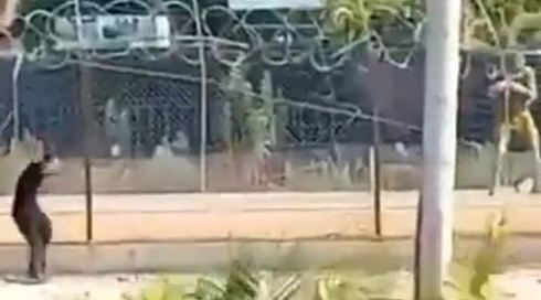 חיילים ירו בפלסטיני שעמד ליד גדר קו התפר - חקירה נפתחה