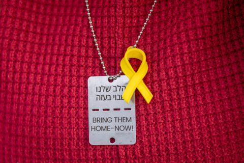 חיים גולדברג, פלאש 90