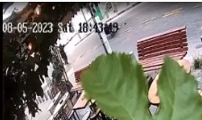 תיעוד: נטרול המחבל בתל אביב