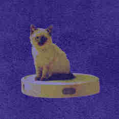 cat28322_img485751411.jpg