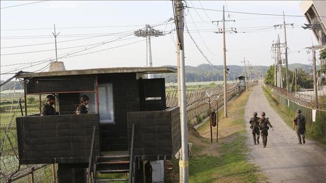 חיילים בקוריאה הדרומית מפטרלים סמוך לגבול עם קוריאה הצפונית 15.06.20