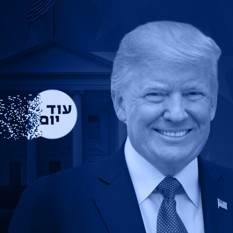כוורת טראמפ ריבועי כחול