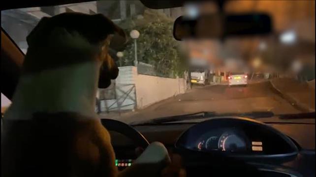 כלב נוהג בירושלים 05.09.22