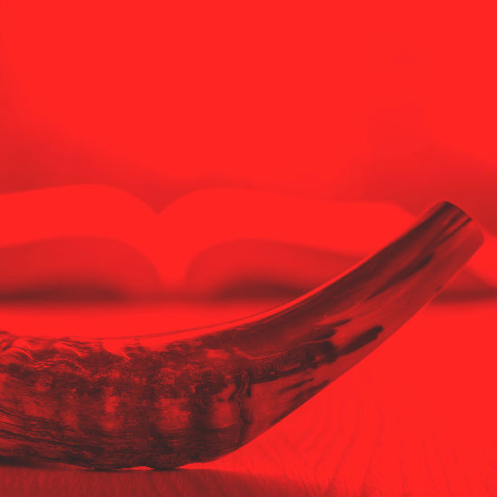 Puede una mujer hacer sonar el shofar?: entrevista con¿ Ethel Barylka