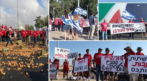 "מישהו בדרך עושה קופה": החקלאים מצובה מנסים לשרוד בצל הרפורמה