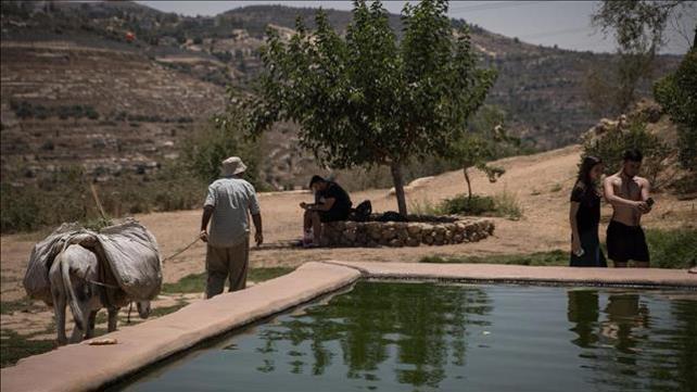 מעיין עין לבן בירושלים 7.4.20