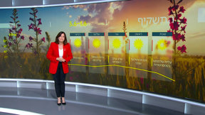 תחזית