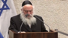 בליץ החקיקה