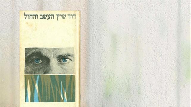 העשב והחול - דוד שיץ