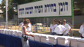 תחרות פרה