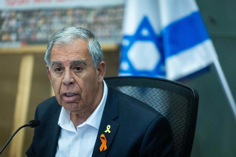 ח"כ מיקי לוי בוועדת הכנסת 