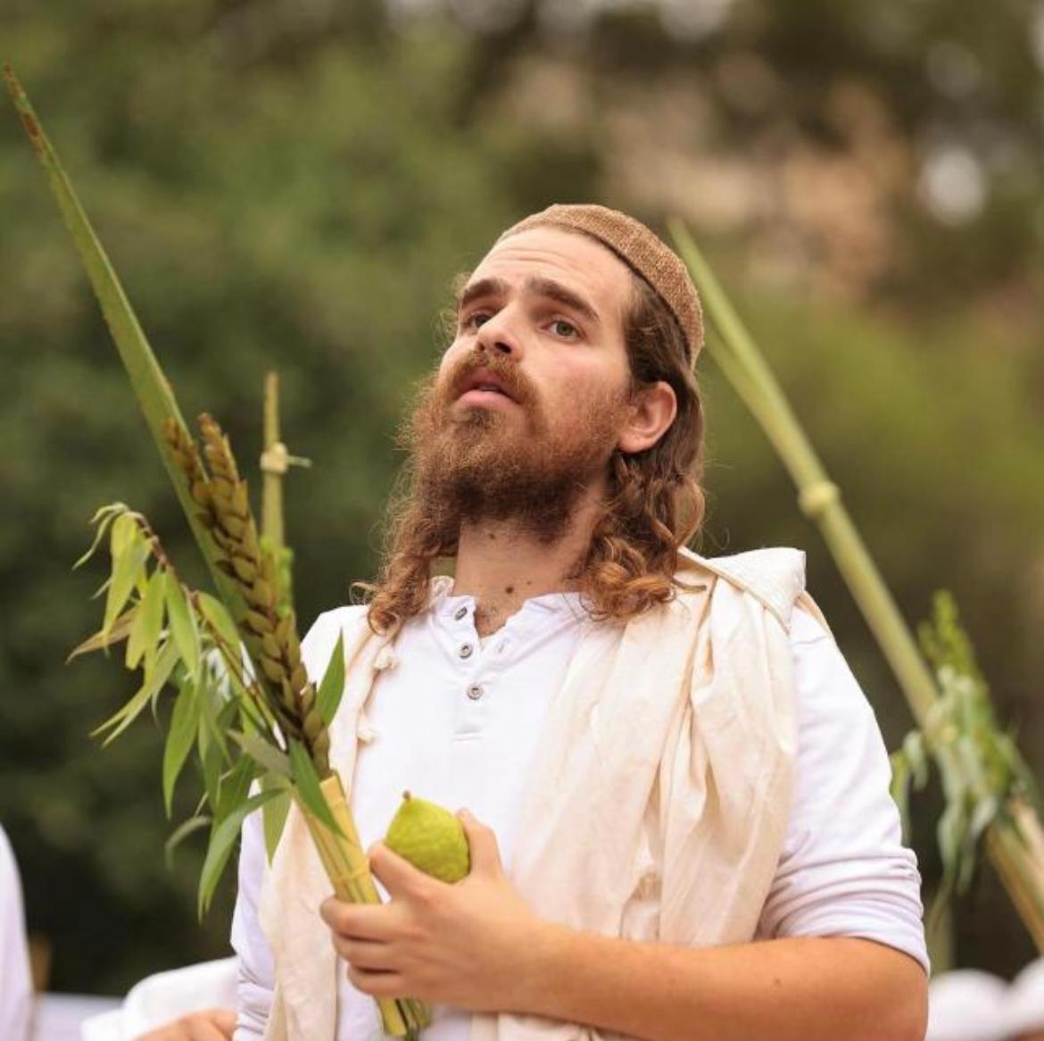 אריאל דנינו