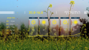 התחזית 15.08.25