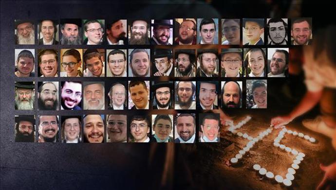 דוד כהן פלאש 90