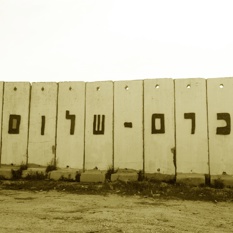 כרם שלום 50