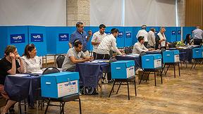 פריימריז הליכוד 