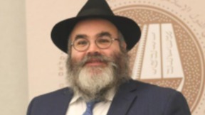 הרב שניאור סגל