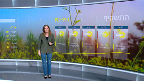 תחזית 14.1.25