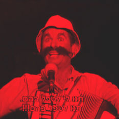 cat13196_img108045094.jpg