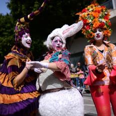 "Purim es la celebración de la salvación física de
