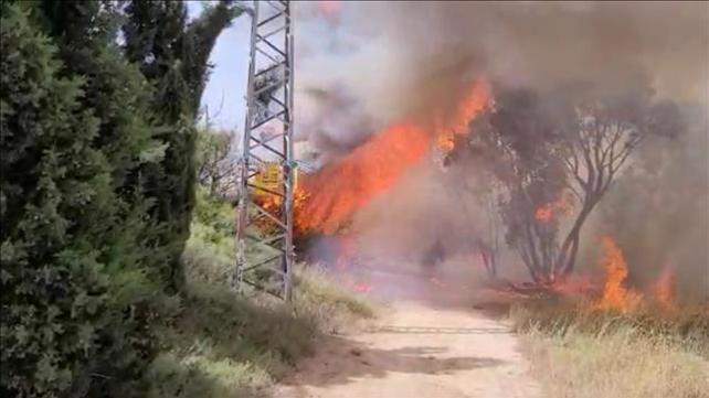 שריפה, כרמיה, עוטף עזה, בלון תבערה, טרור התבערה, טרור הבלונים, טרור, עזה