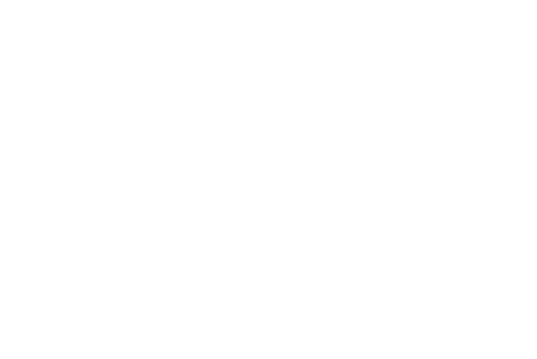 חלום הפנסיה