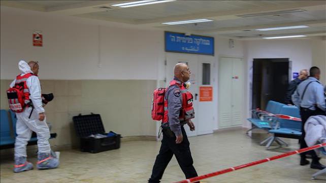צילום: פלאש 90
