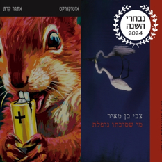 ספרות ריבוע