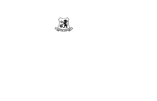 מלכת השכונה