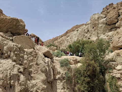 שמורת הטבע עין גדי (צילום: אפרת רוחין)