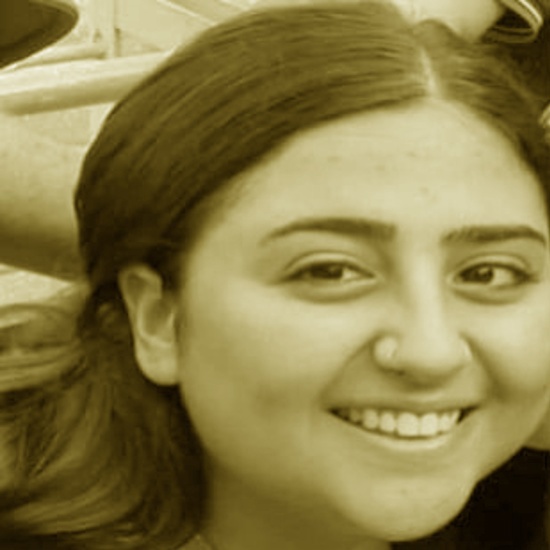 אייל אשל: "לא נשתוק עד שלא יינקטו צעדים נגד לובשי המדים שהיו שם"