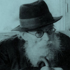 cat18946_img489077769.jpg