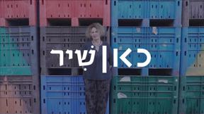 כאן שיר