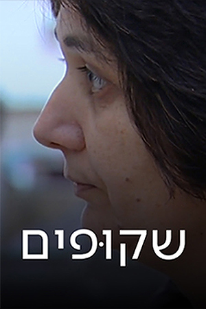 שקופים