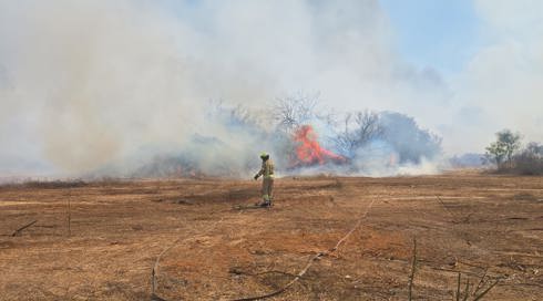 שריפת ענק משתוללת ליד כביש 44, האש מסכנת מבנים סמוכים