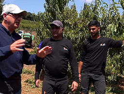 "מלאי תקווה": יוני ממרגליות לא מוותר על החקלאות בגבול הצפון