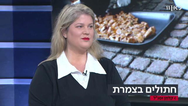 "האכלת חולים ברחוב היא לא מטרד": עורכת הדין שמגינה על החתולים