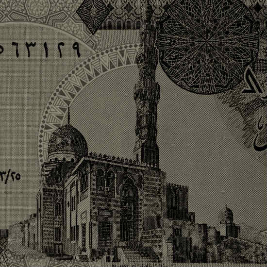 ממלוכים ובעלי חיים: חלק 2