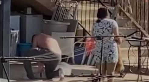 המשטרה עצרה תושב מיטב בחשד שהתעלל בכלבים